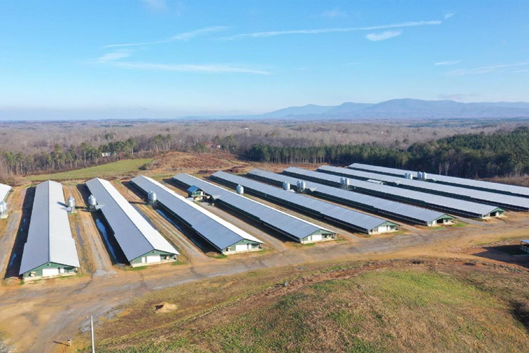 Big Gril Ferme de poulet