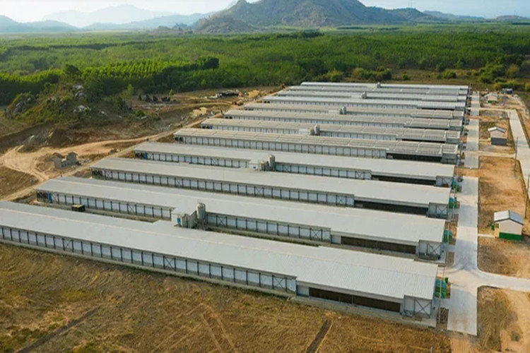 &eacute;levage de volailles