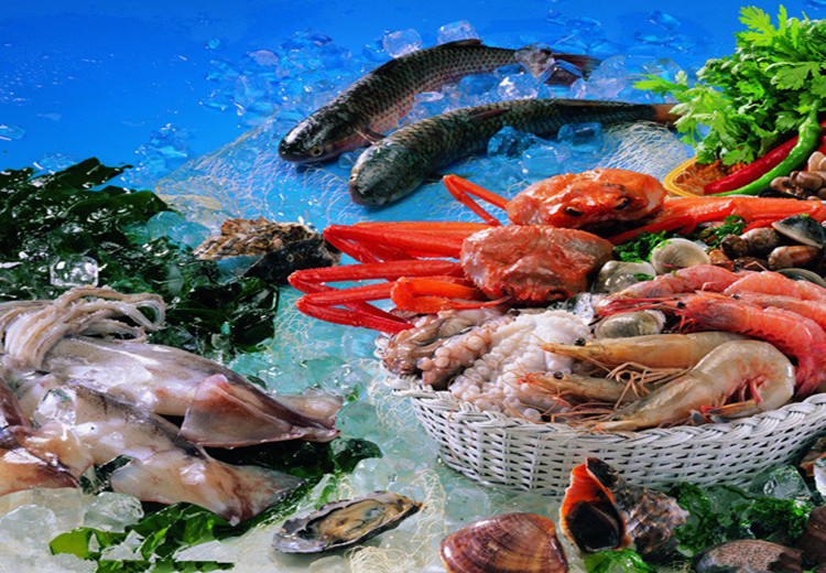 rangement froid pour les fruits de mer