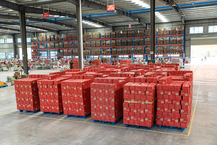 Rangement des fruits