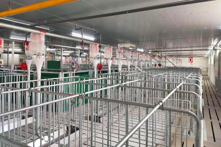 hangar &agrave; porc