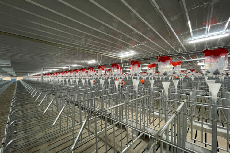 hangar de l'accouplement