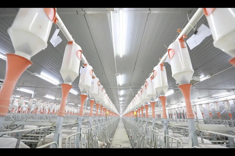 syst&egrave;me de boisson