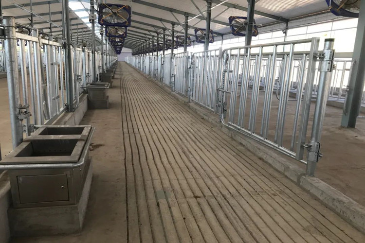 stylos galvanis&eacute;s