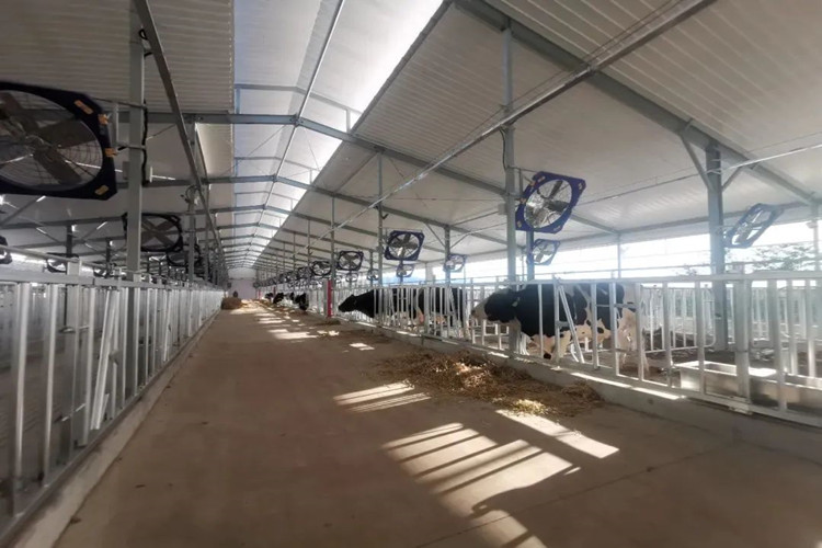 hangar &agrave; vache