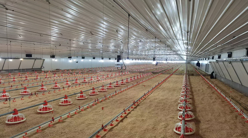 &eacute;quipement de volaille