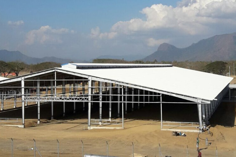 Hangar de ferme laitière à structure en acier de conception standard