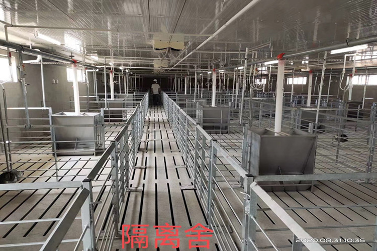 Bâtiments en acier galvanisés préfabriqués d'agriculture pour la ferme porcine