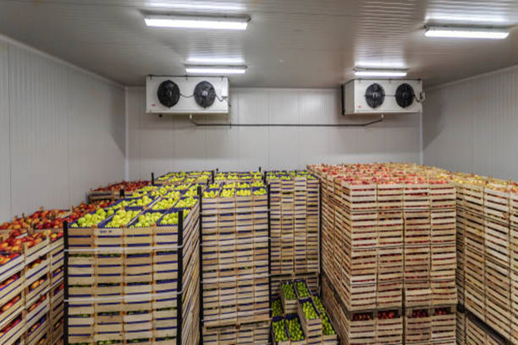 Cold Room Warehouse en acier Stucture pour le stockage des aliments