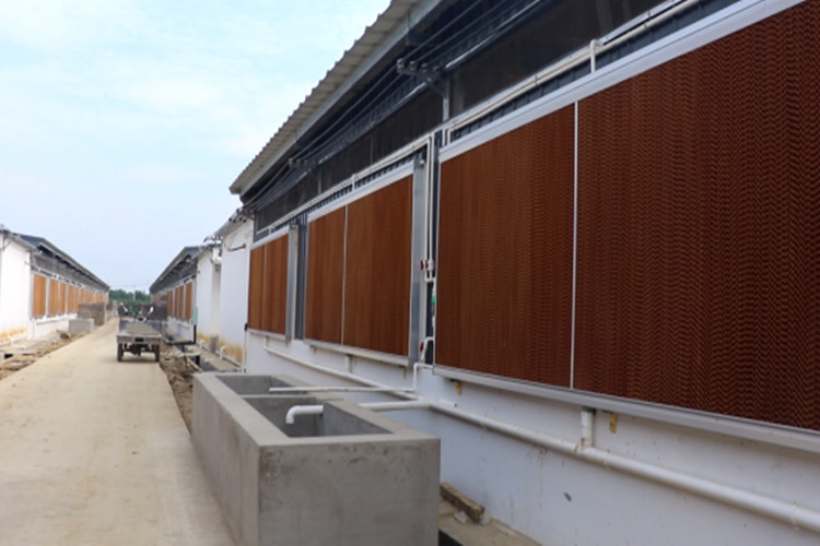 Tapis de refroidissement