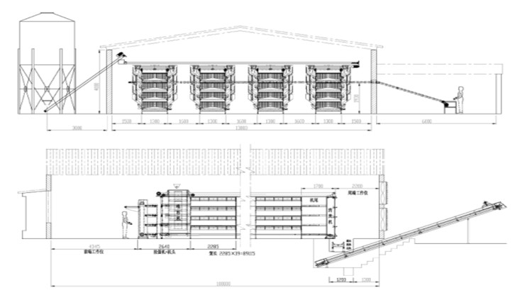 disposition de la maison de poulet