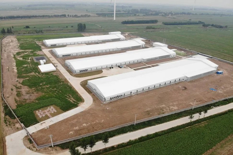 ferme de volailles pr&eacute;fabriqu&eacute;es