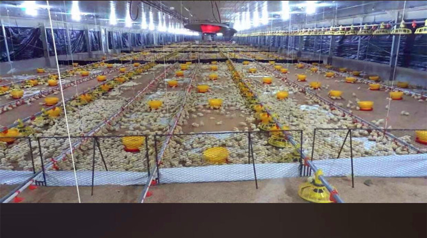 ligne d'alimentation