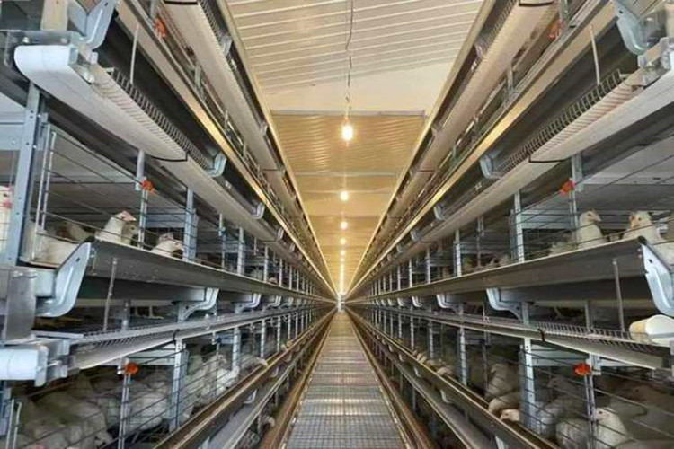 cage galvanis&eacute;e