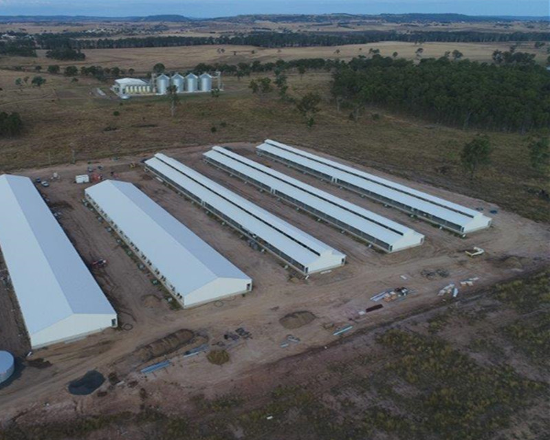 ferme porcine en acier