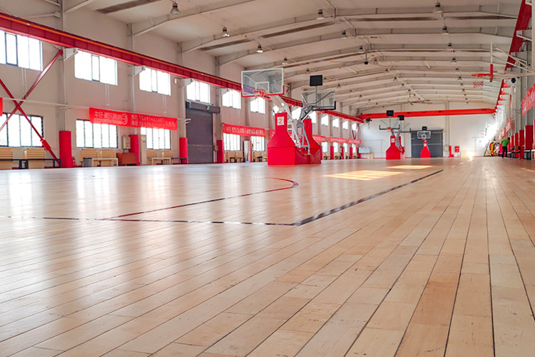 Ar&eacute;na de basket-ball int&eacute;rieur