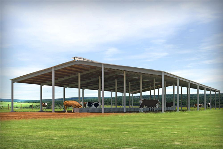 Structure en acier hangar pour la ferme de bétail avec un stylo à bétail galvanisé