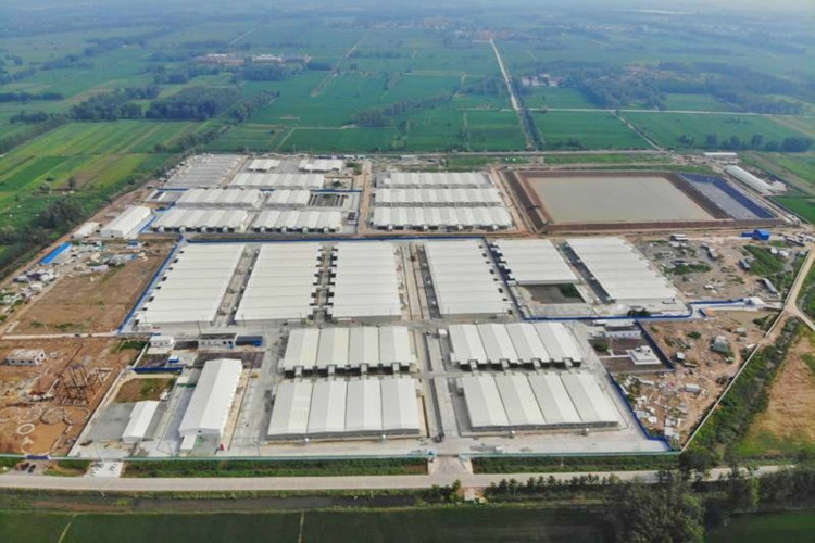 ferme de porc moderne