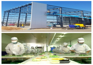 pre made building.jpg