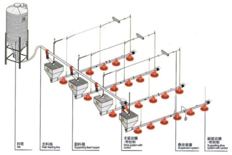 &eacute;quipement de volaille
