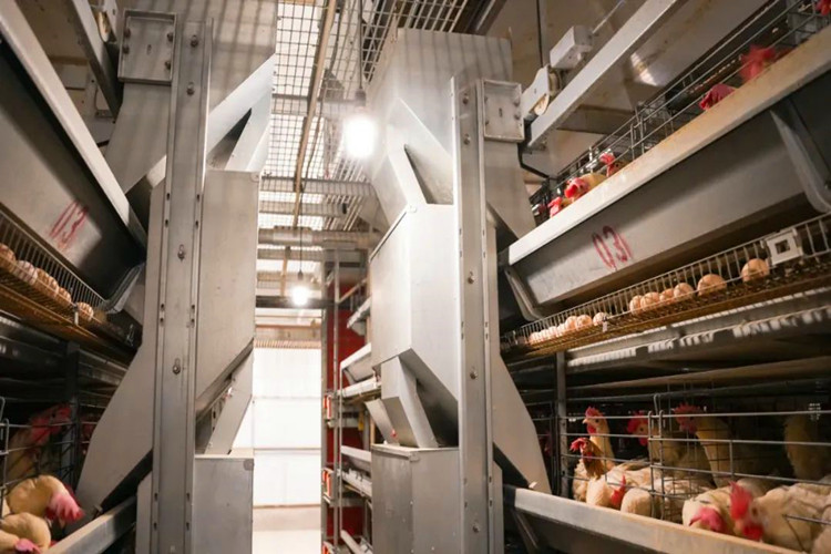 Syst&egrave;me d'alimentation