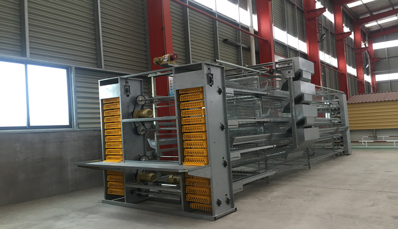 eqiupment cage d'alimentation