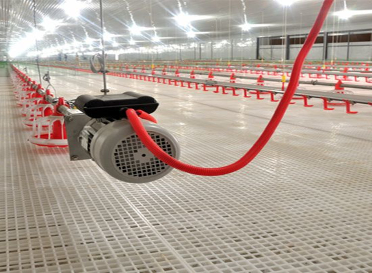 &Eacute;quipement agricole de volaille automatique