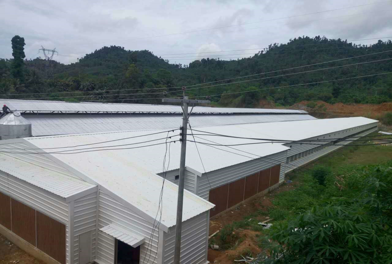 Poultry Agriculture Steel Building For Boiler Chicken House