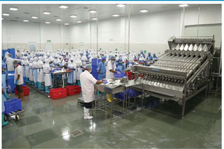 Atelier de transformation des aliments