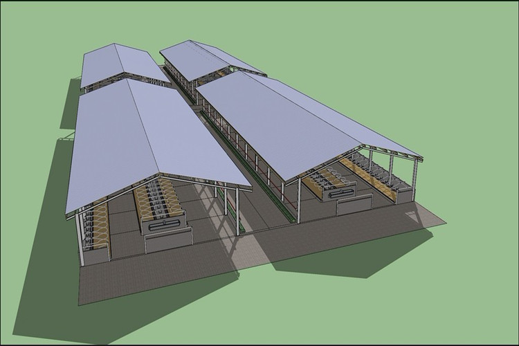 Bâtiment de structure en acier galvanisé à faible coût pour hangar à vaches