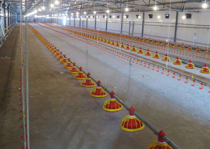 &Eacute;quipement d'alimentation automatique