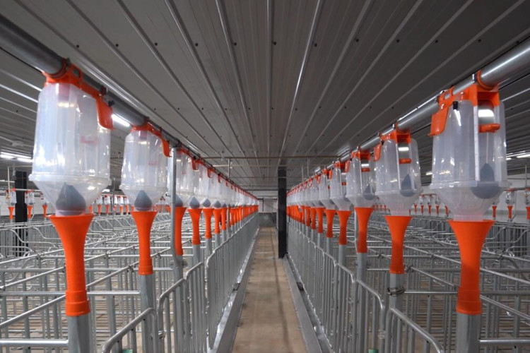 &eacute;quipement de porcs