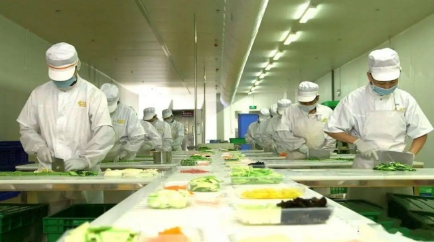 repas pr&eacute;fabriqu&eacute;