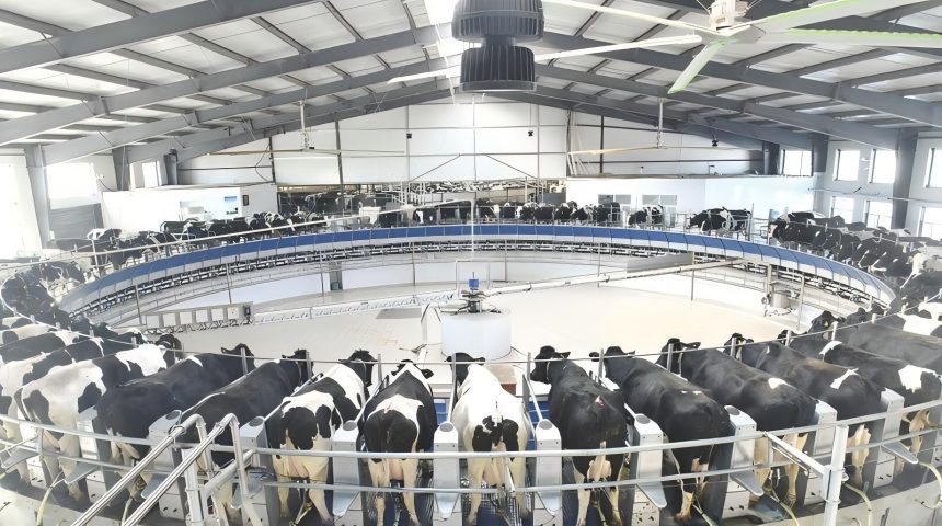 ferme laiti&egrave;re