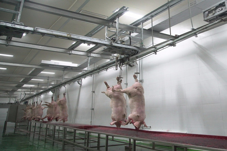 Zone de traitement des structures m&eacute;talliques de l'abattoir
